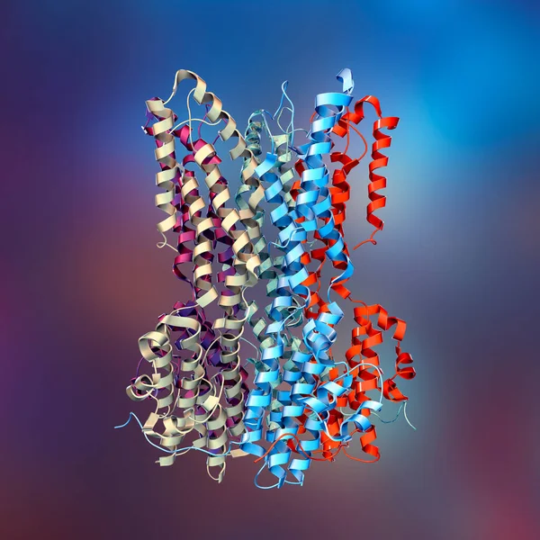 Modello Molecolare Proteina Bestrophin Best Illustrazione Una Proteina Responsabile Della — Foto Stock