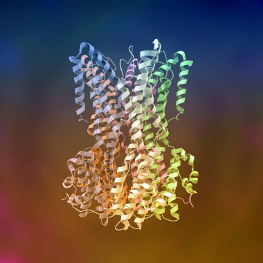 Bestrophin-1 (En İyi 1) proteininin moleküler modeli, 3 boyutlu illüstrasyon. Hücrelerdeki kalsiyum sinyallerini düzenleyen bir protein. Best1 'in mutasyonu bir grup dejeneratif retinal hastalığa neden olur.