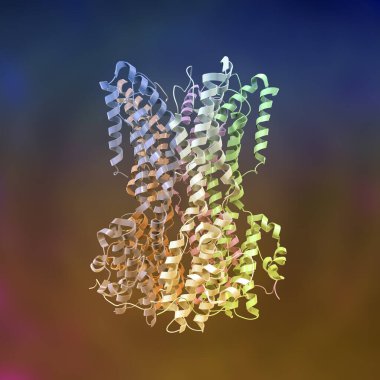 Bestrophin-1 (En İyi 1) proteininin moleküler modeli, 3 boyutlu illüstrasyon. Hücrelerdeki kalsiyum sinyallerini düzenleyen bir protein. Best1 'in mutasyonu bir grup dejeneratif retinal hastalığa neden olur.