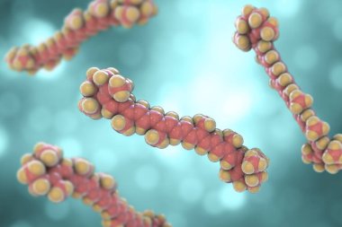 Beta-karoten pigmentinin moleküler modeli, A vitamininin öncülü, 3D illüstrasyon