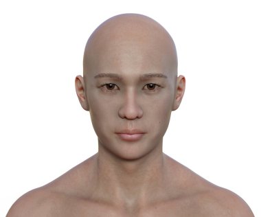 A photorealistic portrait of an Asian man, 3D illustration. The portrait captures the texture of his skin, the contours of his face, and the details of his expression in stunning detail clipart