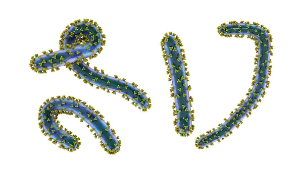 Virus Marburg Ilustración Virus Arn Que Causan Fiebre Hemorrágica Marburg —  Fotos de Stock