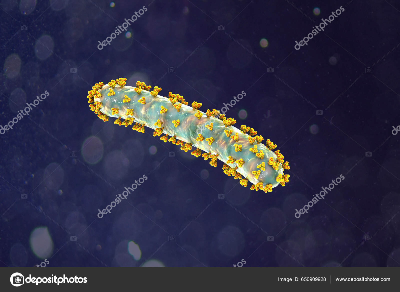 Skin Rash Chest Patient Marburg Hemorrhagic Fever Photorealistic ...