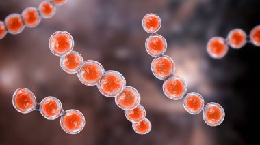 Mikroskobik mantar Lacazia loboi, lobomycosis 'in nedensel maddesi, nodüler ve keloidal lezyonlar tarafından karakterize edilen kronik bir deri hastalığı, öncelikle uzuvları ve kulakları etkileyen, 3 boyutlu illüstrasyon