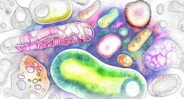 Beautiful microworld, colorful microbes of different shapes, digital illustration in sketch style clipart