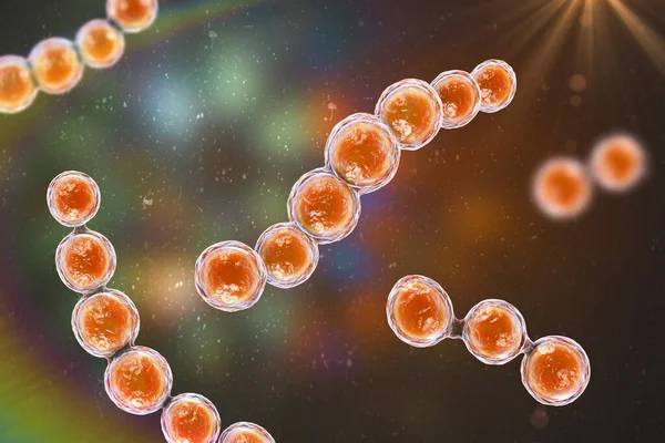 Funghi Microscopici Lacazia Loboi Agente Causale Della Lobomicosi Una Malattia — Foto Stock
