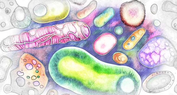 美しいマイクロワールド さまざまな形のカラフルな微生物 スケッチスタイルのデジタルイラスト — ストック写真