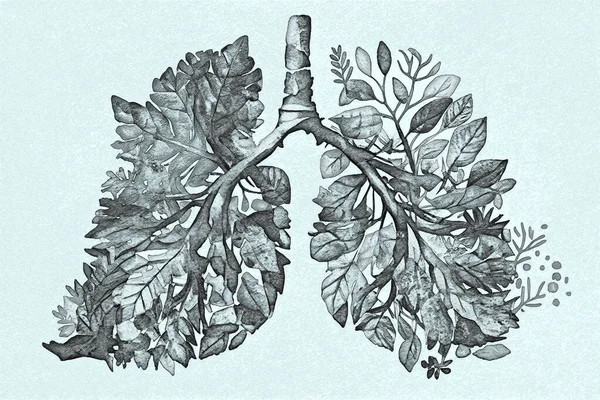 人类肺 复杂地由各种花卉和植物组成 在概念上说明了人类生活与自然之间的微妙平衡 — 图库照片