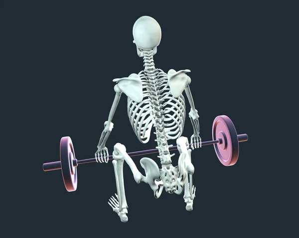 Human Skeleton Lifting Barbell Conceptual Illustration — Stock Photo, Image