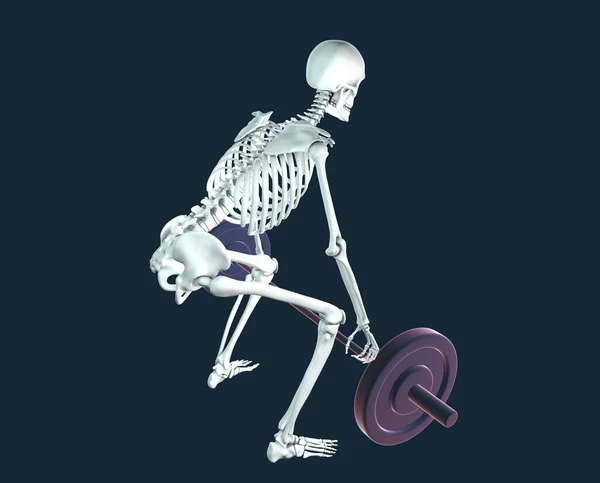 Ett Mänskligt Skelett Lyfter Skivstång Konceptuell Illustration — Stockfoto