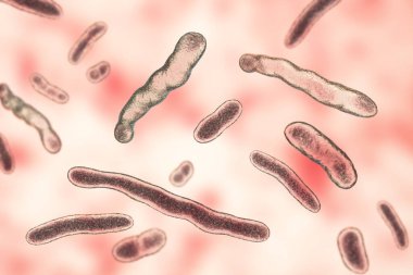 Elizabethkingia meningoseptika bakterisi, 3 boyutlu illüstrasyon. Eskiden 