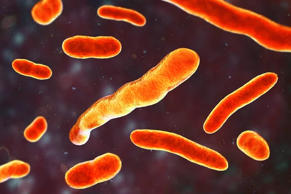 Elizabethkingia Meningoseptica Βακτήρια Εικονογράφηση Παλαιότερα Γνωστό Flavobacterium Meningosepticum Μπορεί Προκαλέσει — Φωτογραφία Αρχείου
