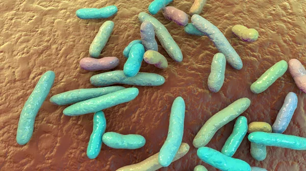 Elżbietańska Bakteria Meningoseptica Ilustracja Dawniej Znany Jako Flavobacterium Meningosepticum Może — Zdjęcie stockowe