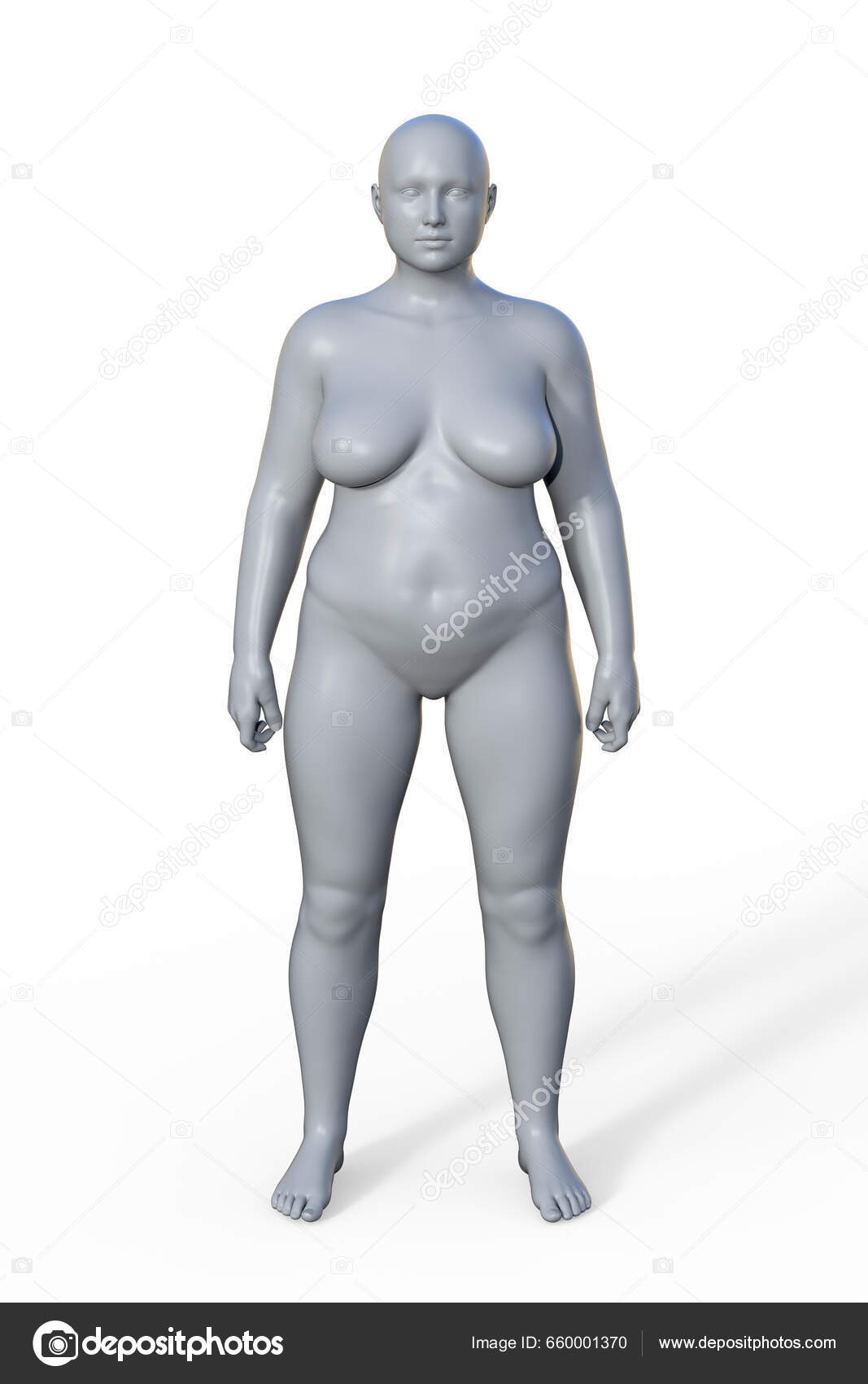 Illustration Female Body Endomorph Body Type Characterized Higher  Percentage Body Stock Photo by ©katerynakon 660001370
