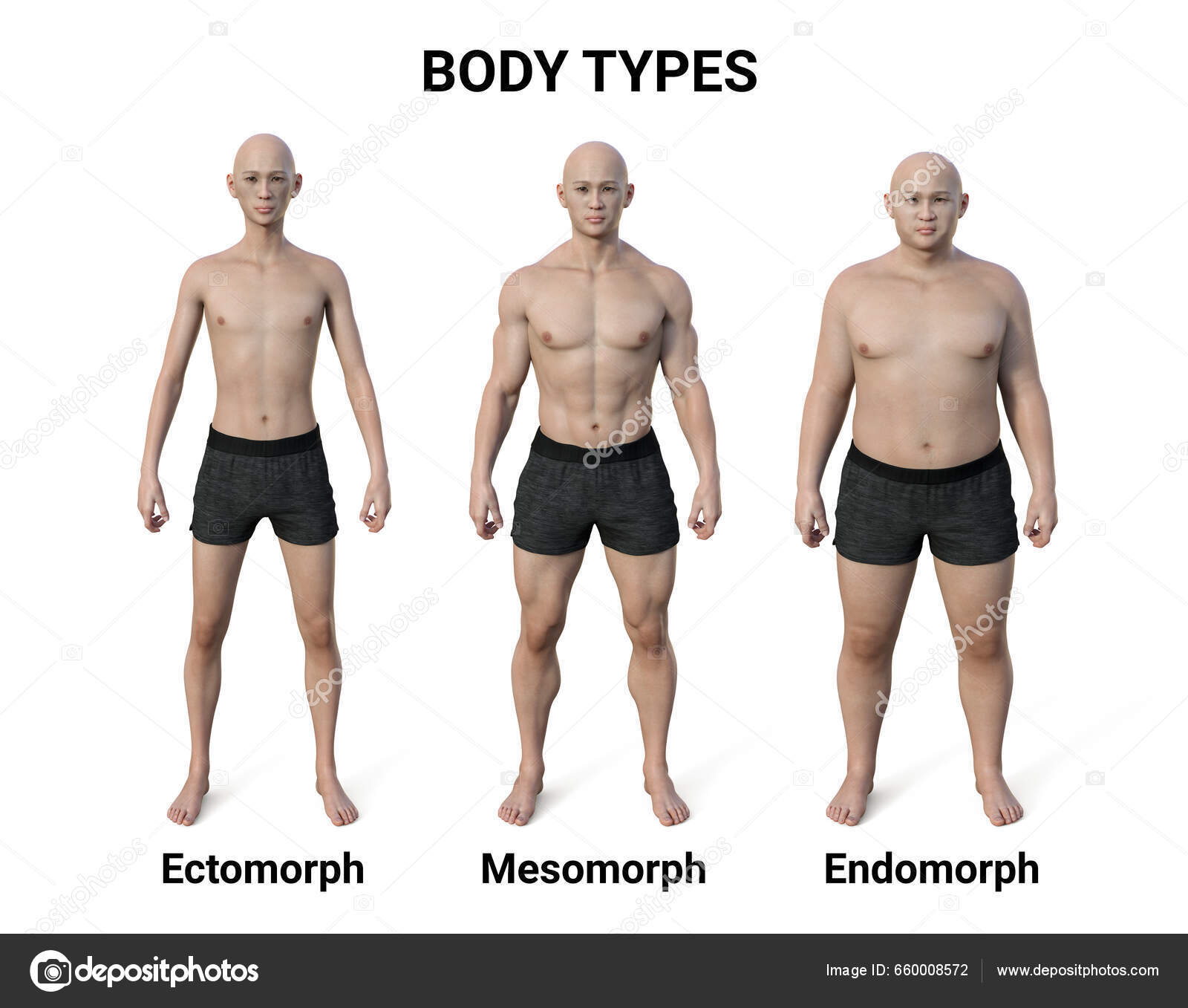 3d Illustration Female Body Endomorph Body Stock Illustration