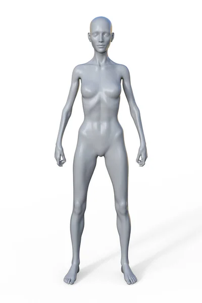 Eine Illustration Eines Weiblichen Körpers Mit Ektomorphem Körpertyp Gekennzeichnet Durch — Stockfoto