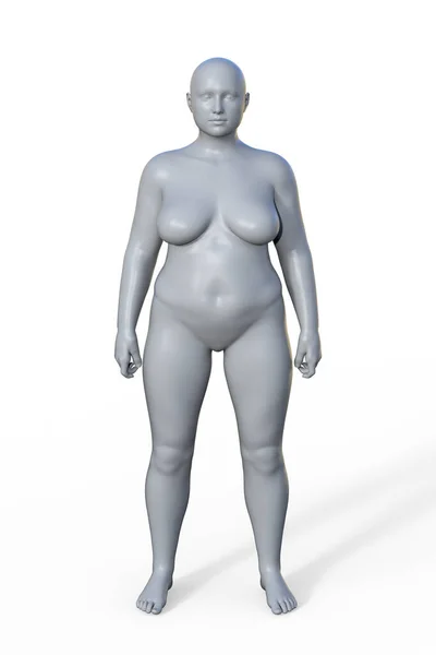 Ilustracja Kobiecego Ciała Endomorf Typu Ciała Charakteryzuje Się Wyższym Udziałem — Zdjęcie stockowe