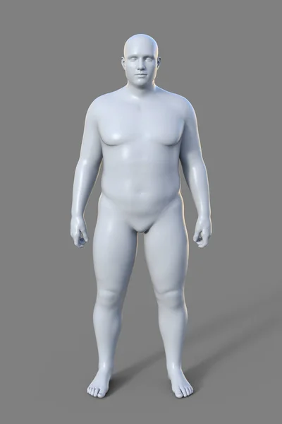 体脂肪の割合が高く丸みを帯びた形状が特徴のエンドルフィンボディタイプの男性体の3Dイラスト — ストック写真