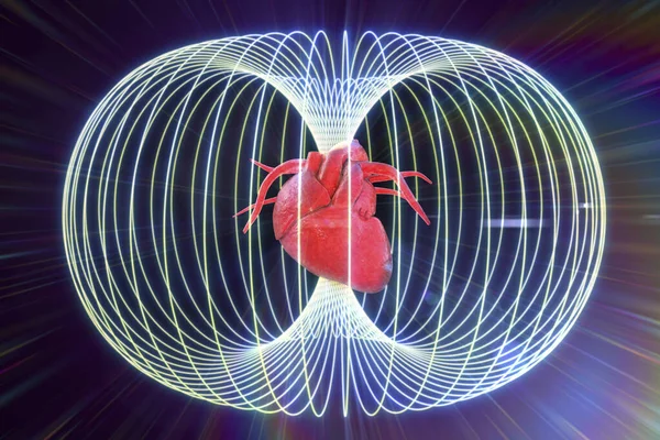 The energy field generated by the human heart, conceptual 3D illustration
