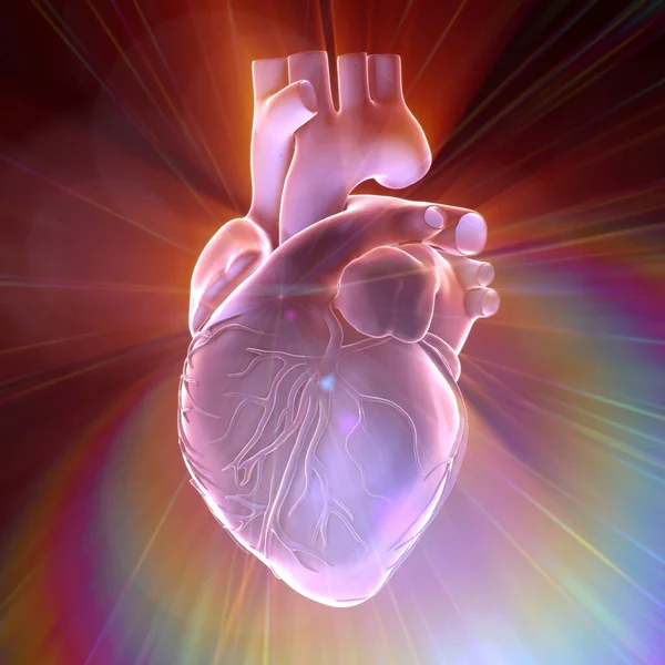 인간의 심장에 에너지 개념적으로 — 스톡 사진
