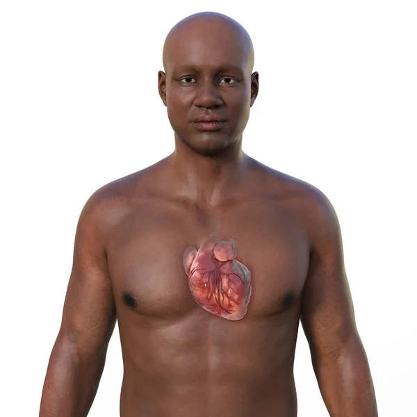 Photorealistic Illustration Upper Half Part African Man Transparent Skin Revealing — Stock Photo, Image