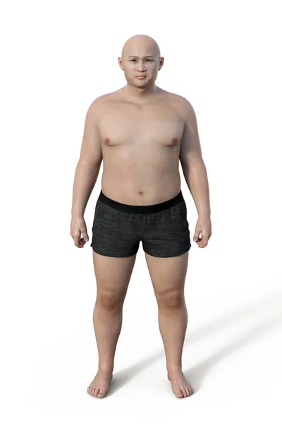 남성의 몸매를 묘사하는 체지방의 둥그스름 모양으로 특징을 이루는 — 스톡 사진