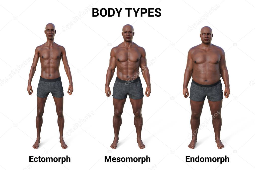 Mesomorph Women
