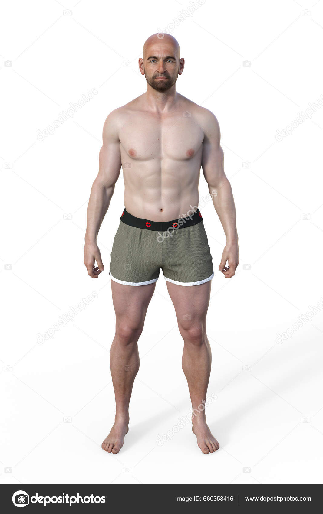 Illustration Male Body Mesomorph Body Type Characterized Muscular Athletic  Build Stock Photo by ©katerynakon 660358416