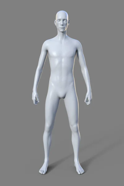 外型体形特征为体形纤细瘦小 体脂极少的男性躯体的三维图像 — 图库照片