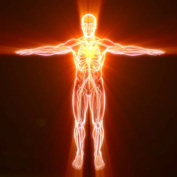 Electromul Totalitatea Curenților Care Există Corpul Uman Ilustrație Înțelegerea Electromului — Fotografie, imagine de stoc