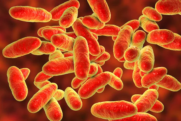 Aeromony Bakterie Ilustrace Gramnegativní Bacily Tvaru Tyčinky Spojené Septikémií Pneumonií — Stock fotografie