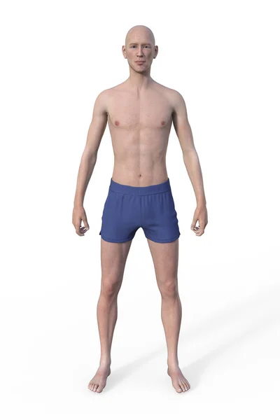 3D Rendering : standing male body type illustration : ectomorph