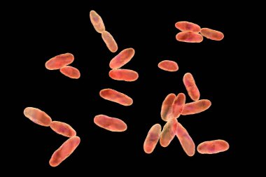 Aeromonas bakterisi, 3 boyutlu illüstrasyon. İnsanlarda septisemi, zatürree ve gastroenterit ile ilişkili Gram-negatif, çubuk şeklinde bir bakteri..