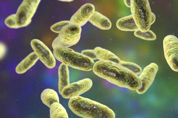 Bacterias Aeromonas Ilustración Bacilo Gramnegativo Forma Vara Asociado Con Septicemia — Foto de Stock