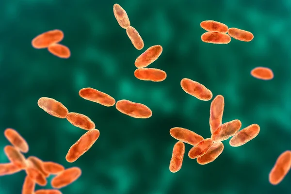 Aeromonas Bakterien Illustration Ein Gramnegativer Stäbchenförmiger Bazillus Der Mit Septikämie — Stockfoto