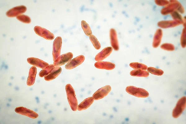 Aeromonas Bakterisi Boyutlu Illüstrasyon Nsanlarda Septisemi Zatürree Gastroenterit Ile Ilişkili — Stok fotoğraf