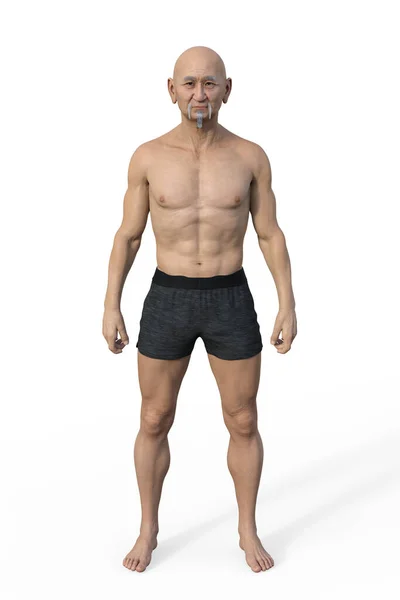 Ilustracja Męskiego Ciała Mesomorfem Typu Ciała Charakteryzuje Się Muskularnym Wysportowanym — Zdjęcie stockowe