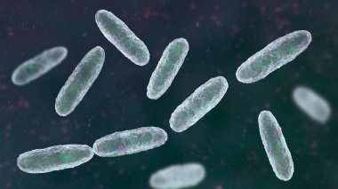 Klebsiella bakterisi, pnömoni ve idrar yolu enfeksiyonları, 3 boyutlu illüstrasyon gibi çeşitli enfeksiyonlara yol açtığı bilinen bir Gram negatif bakteri türüdür..