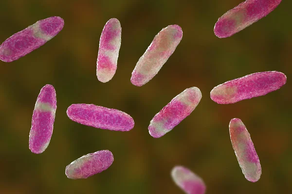 Клебсиелла Бактерии Тип Грамотрицательных Бактерий Известных Причинение Ряда Инфекций Числе — стоковое фото