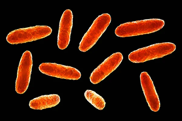 Bacteria Klebsiella Tipo Bacteria Gram Negativa Conocida Por Causar Una — Foto de Stock
