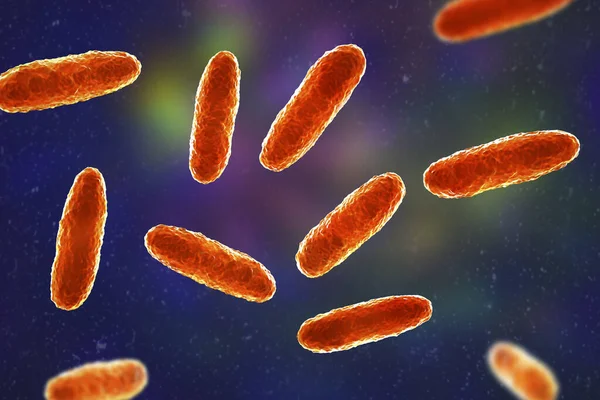 Klebsiella Bakterier Typ Gramnegativa Bakterier Som Kända För Att Orsaka — Stockfoto