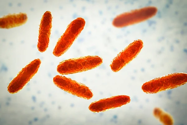 Klebsiella Bakterisi Pnömoni Idrar Yolu Enfeksiyonları Boyutlu Illüstrasyon Gibi Çeşitli — Stok fotoğraf