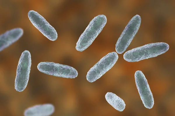 肺炎や尿路感染症などのさまざまな感染症を引き起こすことで知られるグラム陰性菌であるKlebsiella細菌 3Dイラスト — ストック写真
