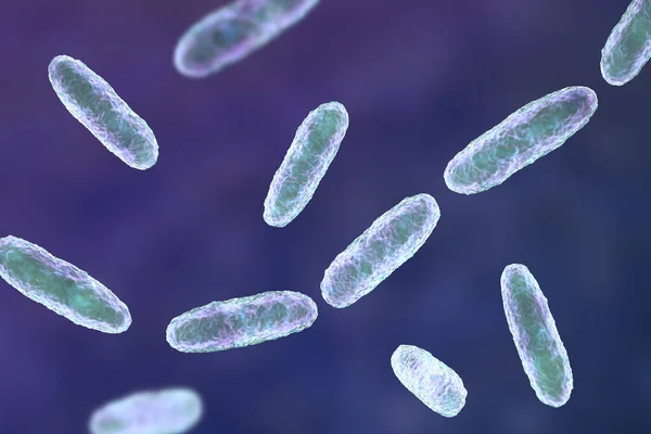 Bactérie Klebsiella Type Bactérie Gram Négatif Connu Pour Causer Une — Photo