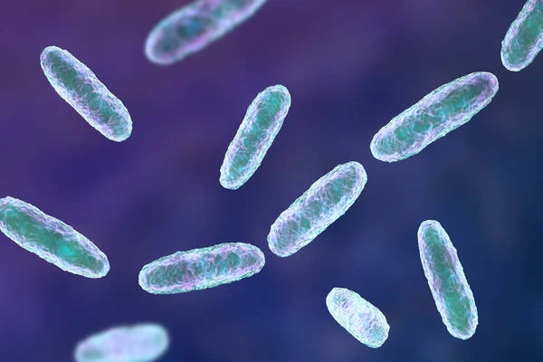 Bactérias Klebsiella Tipo Bactérias Gram Negativas Conhecidas Por Causar Uma — Fotografia de Stock