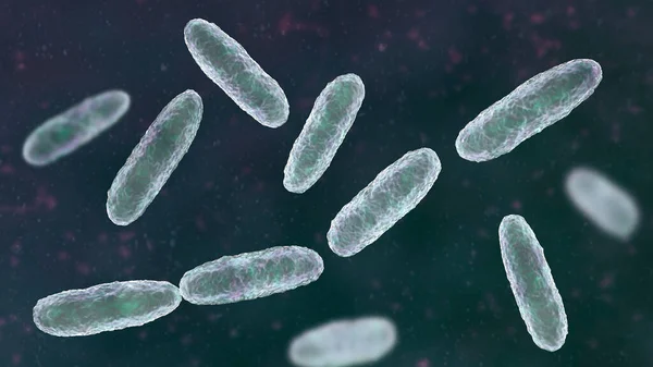 Bacteria Klebsiella Tipo Bacteria Gram Negativa Conocida Por Causar Una —  Fotos de Stock