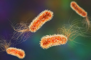 Psödomonas bakterisi, Gram-negatif bakteri genel olarak sağlık kaynaklı enfeksiyonlarla ilişkilendirilir, özellikle solunum yolu ve yara enfeksiyonları, 3 boyutlu illüstrasyon.