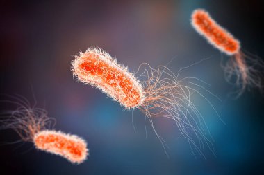 Psödomonas bakterisi, Gram-negatif bakteri genel olarak sağlık kaynaklı enfeksiyonlarla ilişkilendirilir, özellikle solunum yolu ve yara enfeksiyonları, 3 boyutlu illüstrasyon.