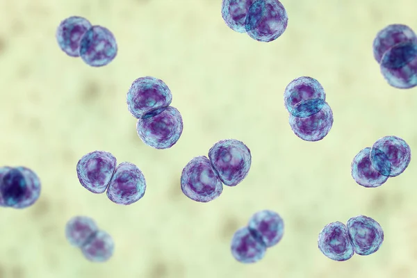 Streptococcus Pneumoniae Bacteria También Conocido Como Neumococo Bacterias Grampositivas Responsables — Foto de Stock