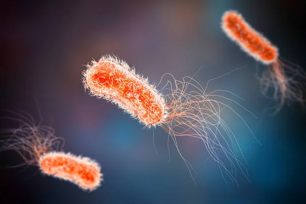 Pseudomonas Bacteria Gram Negative Bacteria Commonly Associated Healthcare Associated Infections — Stock Photo, Image